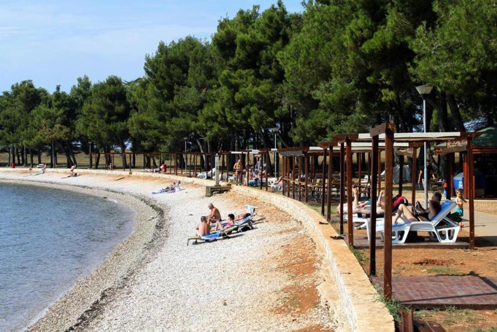 Apartman Oliver Apartment Novigrad (Istria)