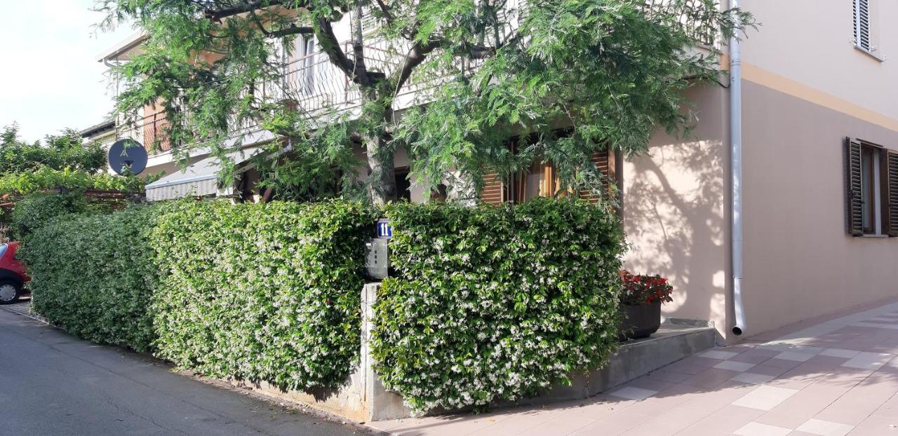 Apartment Apartman Oliver Novigrad (Istria)